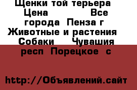 Щенки той терьера › Цена ­ 10 000 - Все города, Пенза г. Животные и растения » Собаки   . Чувашия респ.,Порецкое. с.